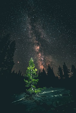 imagined landscape